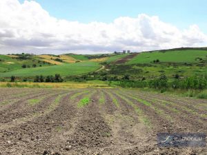 dursunkoy_107_ada_5_parsel_resim_0_30 (2).JPG